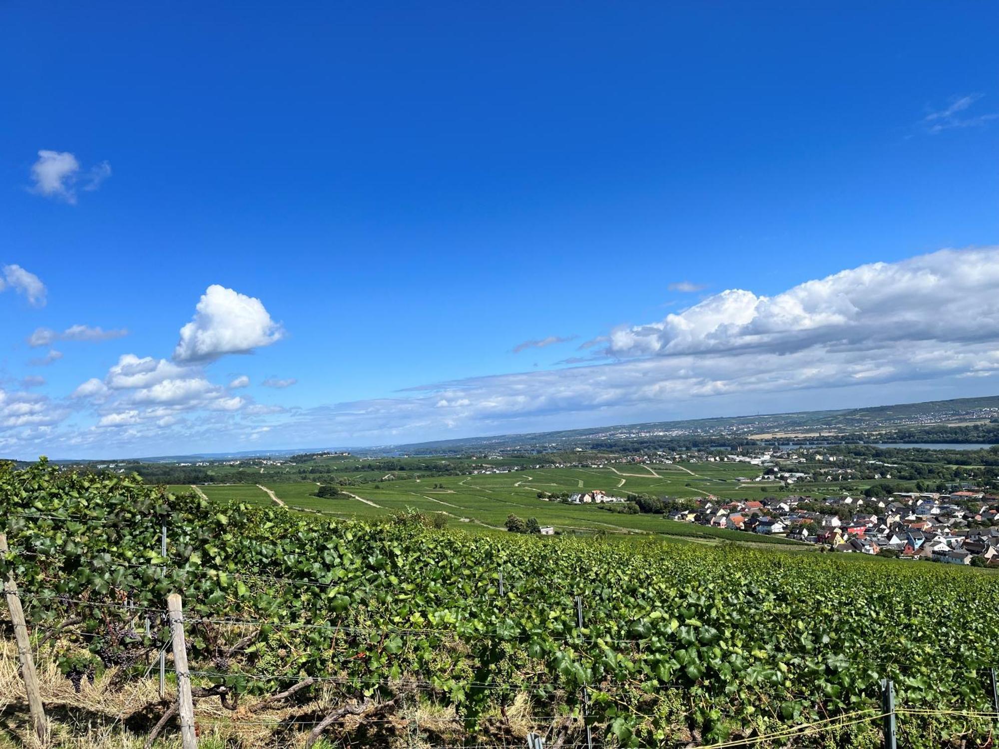 Haus Neugebauer-Garni, Johannisberg Eksteriør bilde